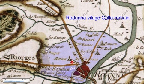 Roduna